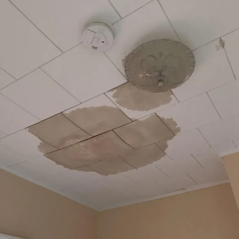 Ceiling Water Damage Repair in Perry County, TN