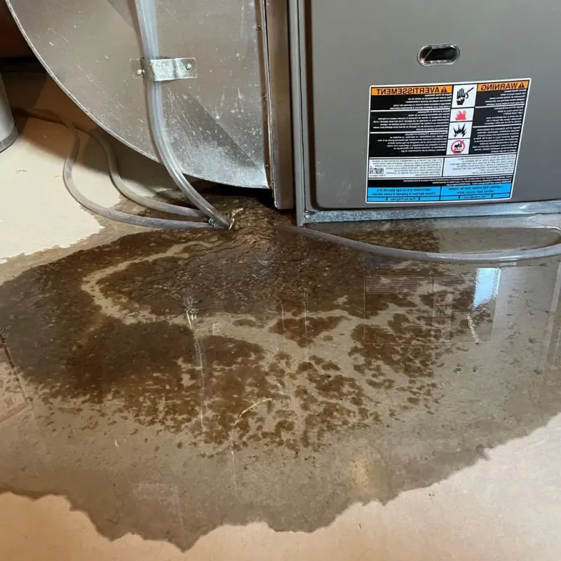 Pipe Burst and Leak Restoration in Perry County, TN