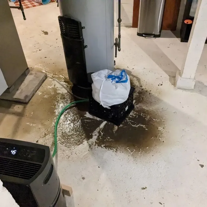 Sewage Backup Cleanup Service in Perry County, TN